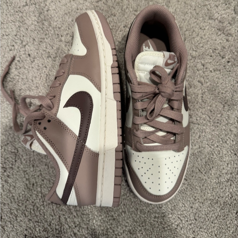 Nike dunks low retro